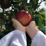 userPhoto