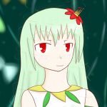 氷結界の⑨
