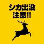 免許皆伝→免許皆伝その2へGO!