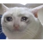 ABCD