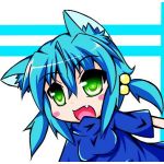 NKRの人