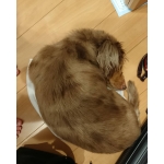 userPhoto
