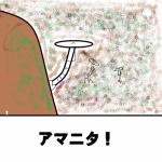 あまにた