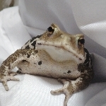 userPhoto