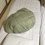 こわだ