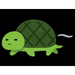 かめのこたわし