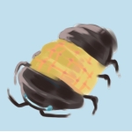 ダンゴロムシ