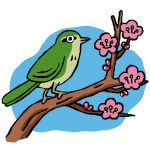 ウグイス豆