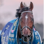 名探偵の有馬光太郎