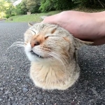 アトミックおじさん