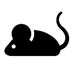 userPhoto