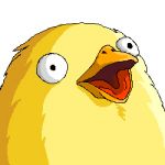 ひっこ