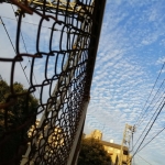 MP