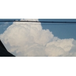 userPhoto