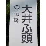 大井フトウ