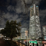 左耳タルトの末裔