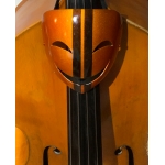 ATU P