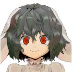 バニえもん