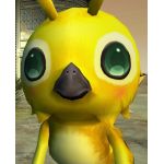 ラッピー