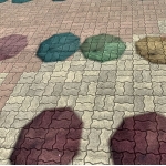 userPhoto