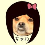 ちゃわ