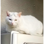 ユーザー画像