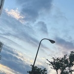 userPhoto