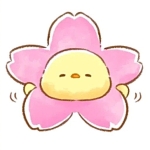 userPhoto