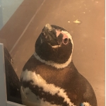 ユーザー画像