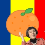 猫科柑橘類