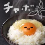 userPhoto