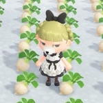 ネコちゃん