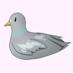 鳩咲