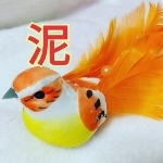 userPhoto