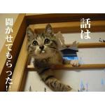 ちゃちゃまる
