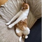 userPhoto