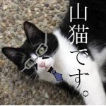 山☆猫