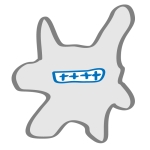 ねこにんじゃう