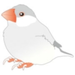 popopoimin