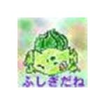 ふしぎだね（Danetch）