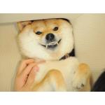 ichimanpiece☆☆☆