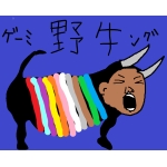 野牛先輩（国産）