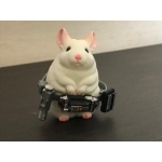 きらり