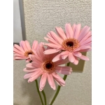 userPhoto