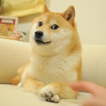 FirewoodDoge