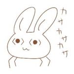 userPhoto