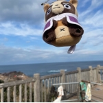 みそ味