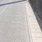 userPhoto