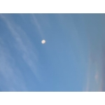 userPhoto