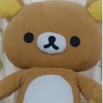userPhoto
